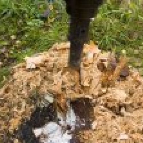 stumbgrinder2