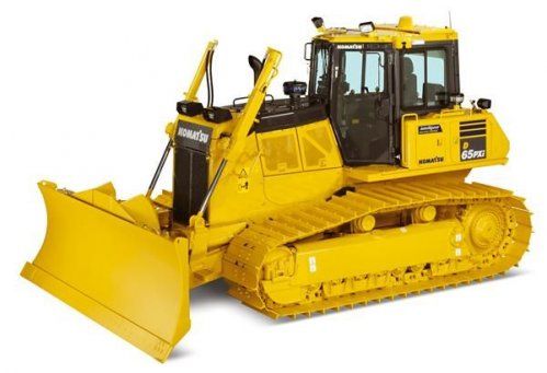 D65